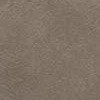 Applied finish, tone 5 of 12